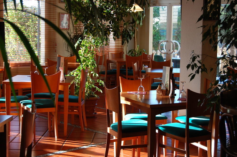 Отель Ibis Jerez De La Frontera Cadiz Экстерьер фото